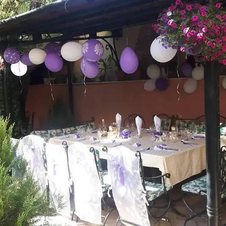 милениум * Jambol