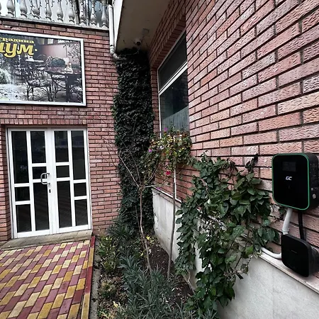 Hotel милениум *